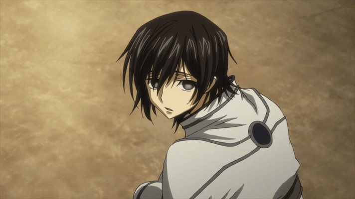 复活的鲁鲁修动态图一