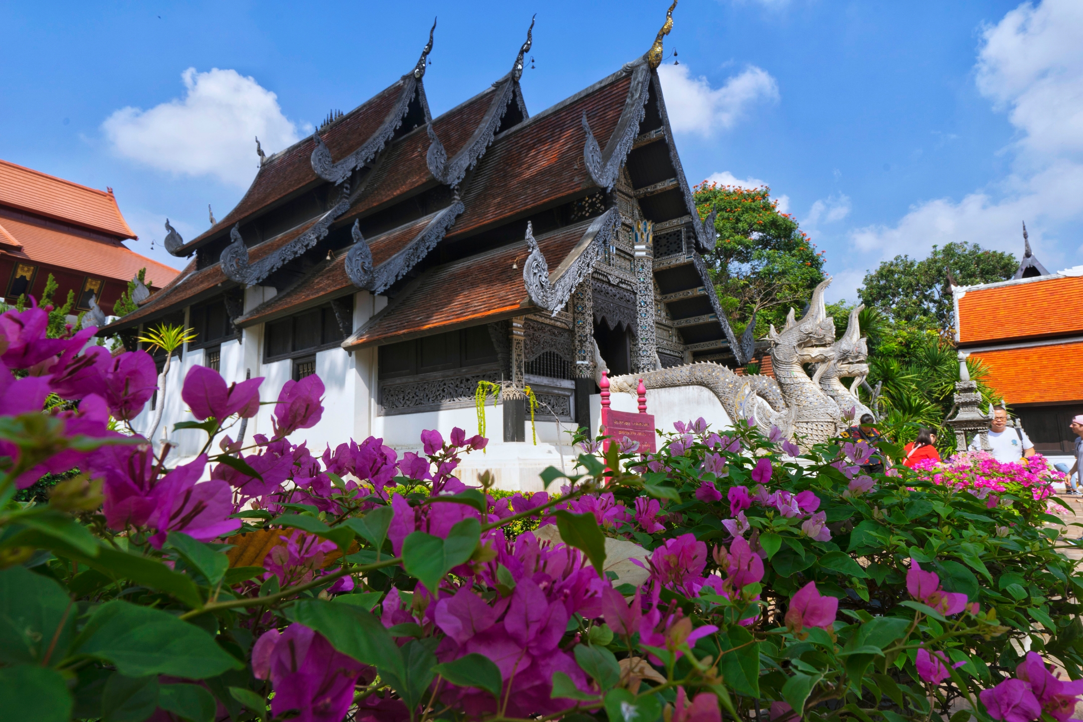 随拍清迈天灯节拜县清莱