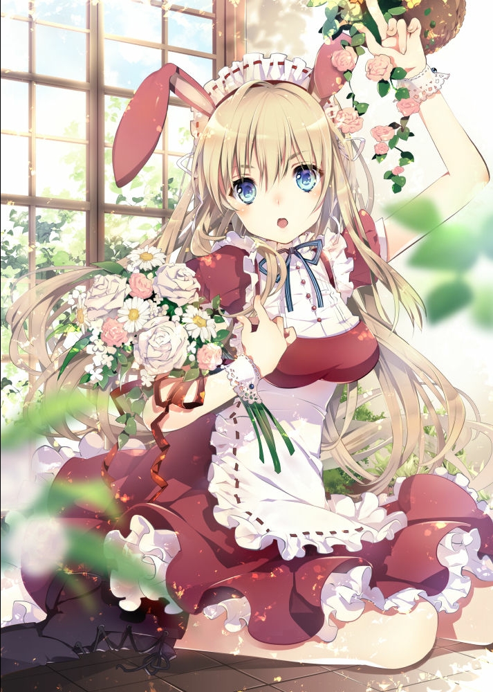 兔子的照片可爱女孩图片