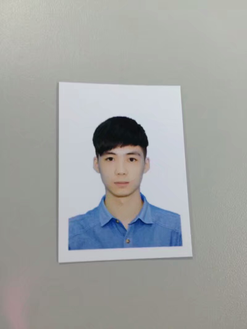 一只纠结的猪男出镜还是维持现状