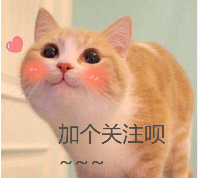 【今日萌图】鸽子:"我真的在路上了"