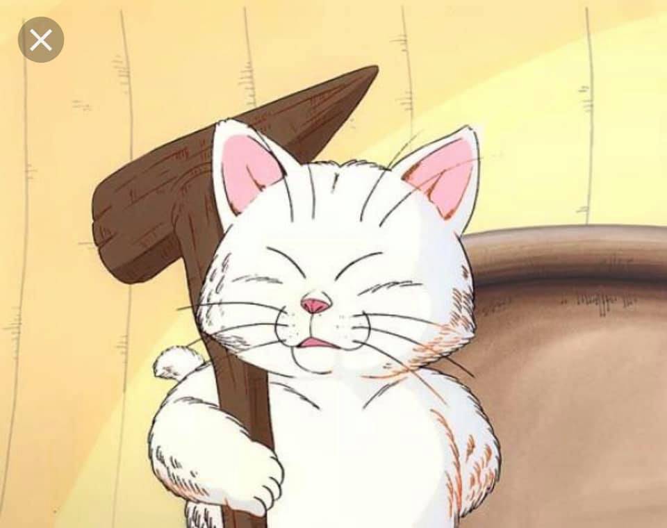 仙豆来两粒稳如狗猫奴的日常狗躯一震.