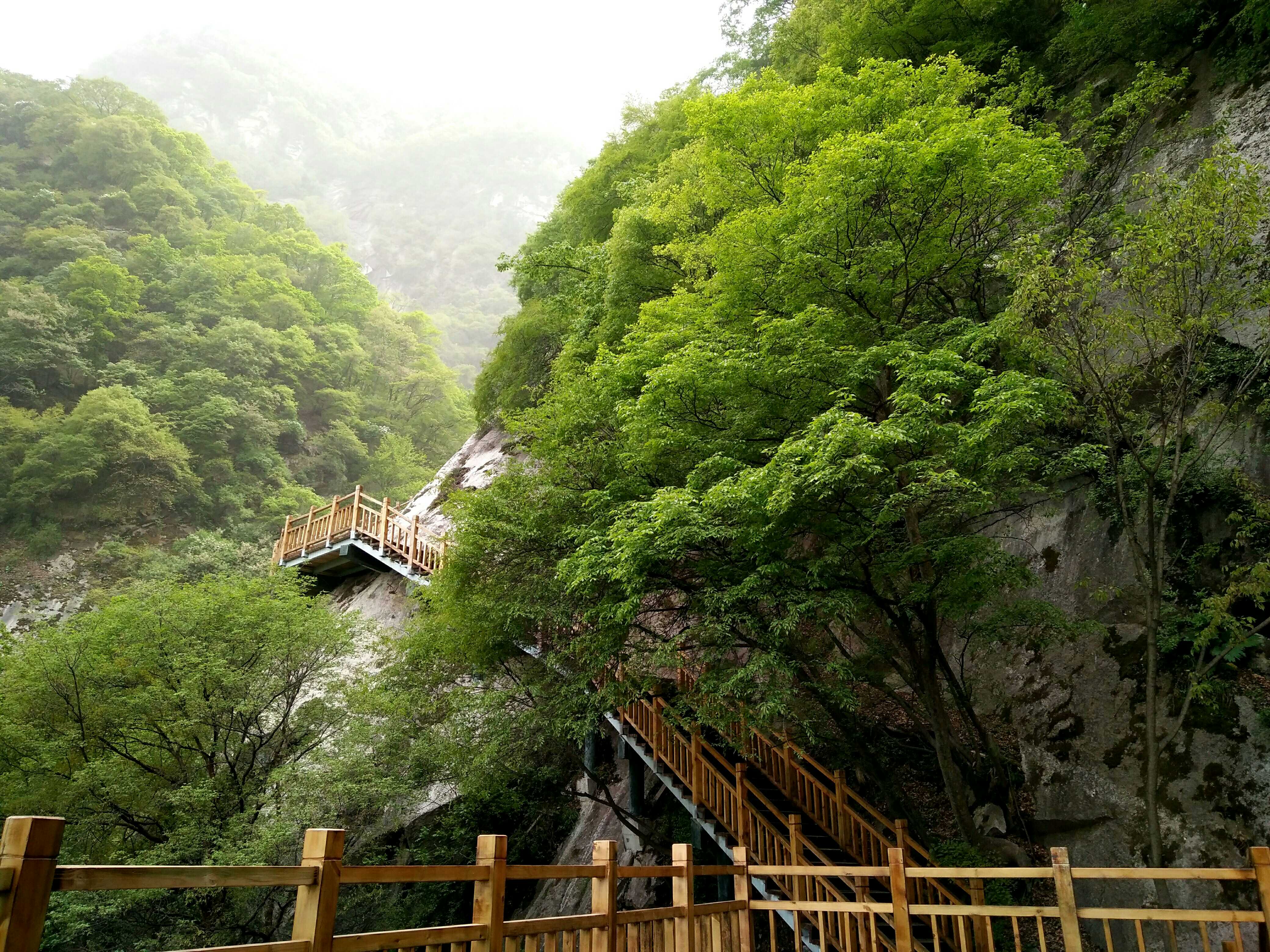 村里小秦岭景区 汉山木栈道 新修的,从爬山开始几乎到山顶,都是木栈道