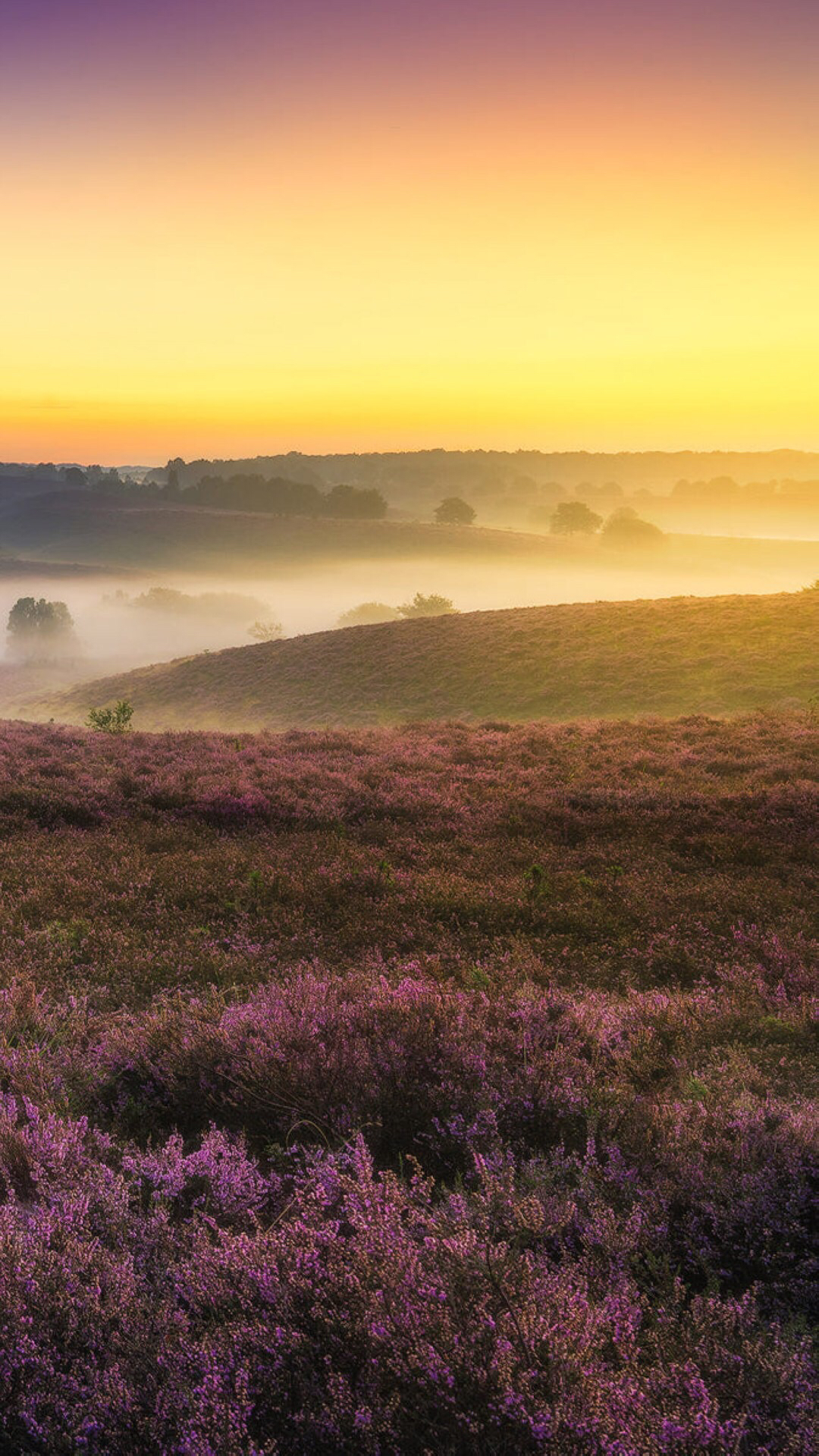 我想出去走一走看看这个大世界风景类壁纸推荐