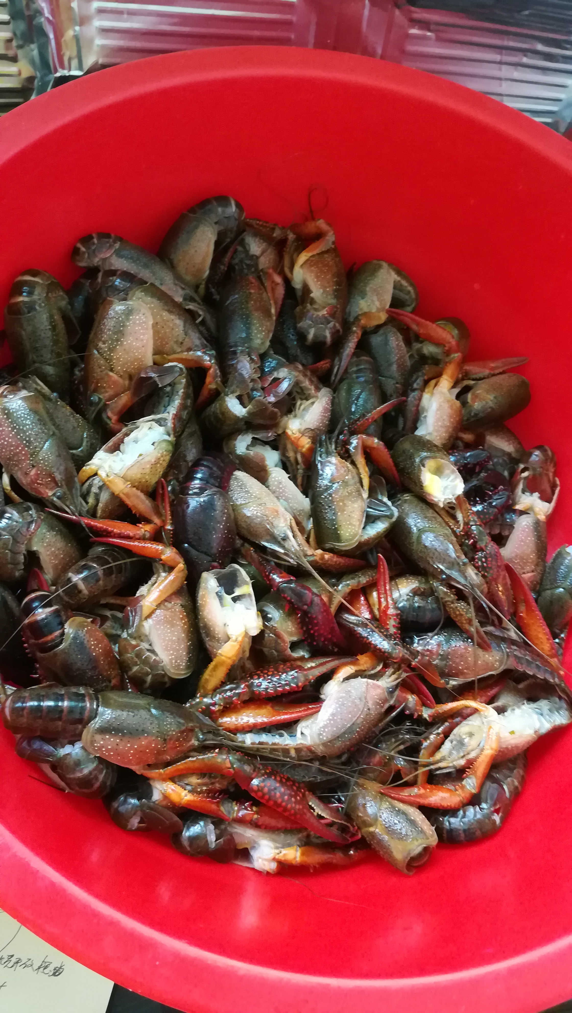 【罐子的肥肥聚餐】5斤小龙虾吃完了