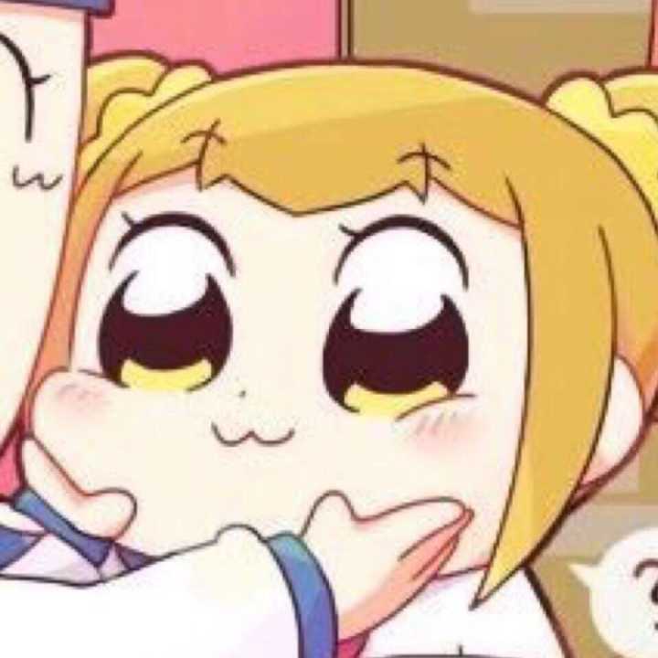 1.5591268696061835E9jpeg