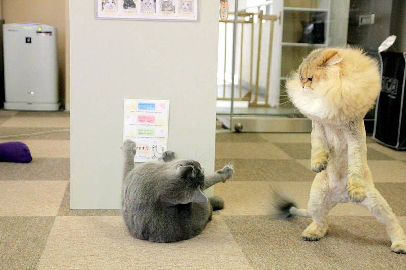 牛鼻子出气猜成语_看图猜成语(2)