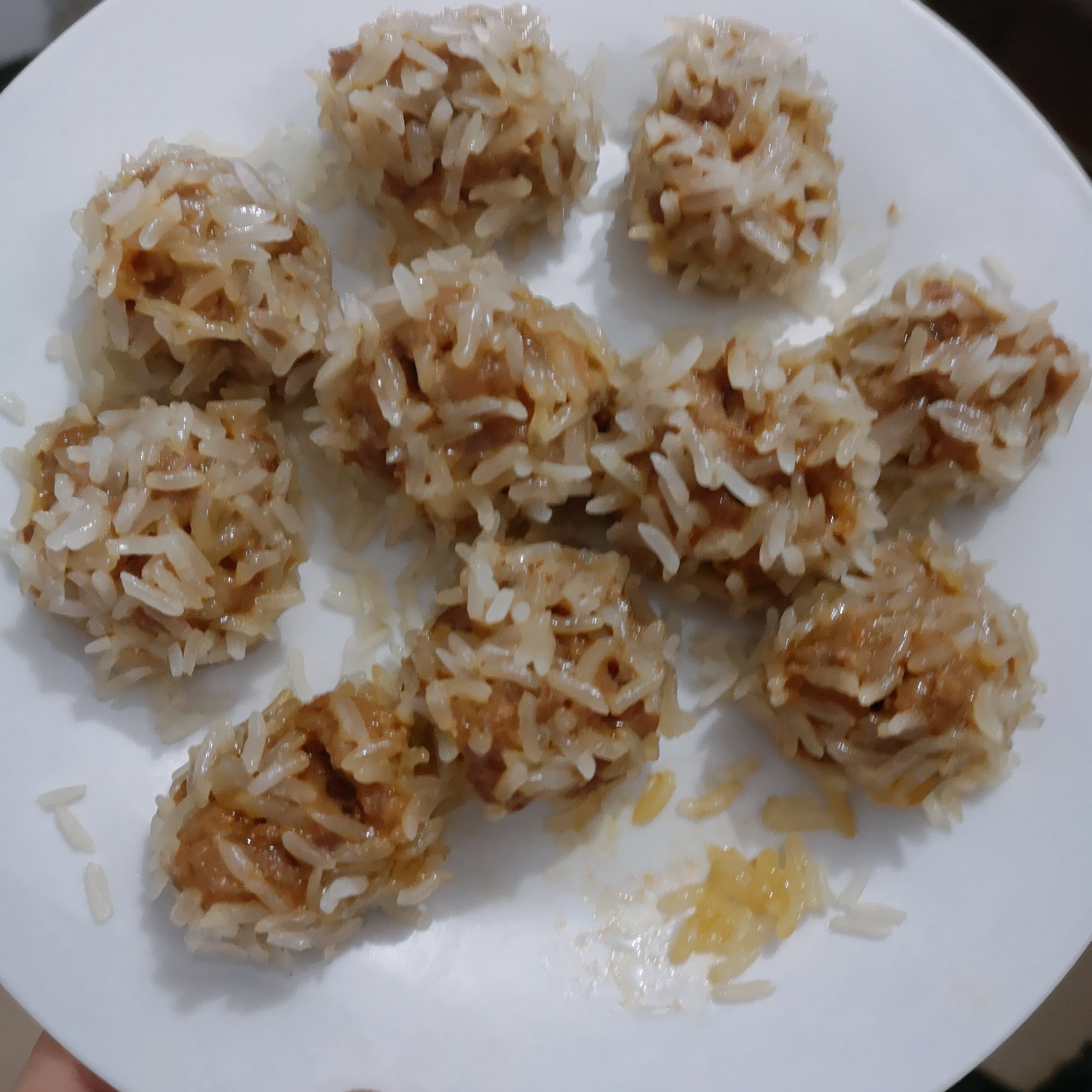 一个极其丑的烧麦和糯米丸子这个菜大家自行考虑要不要接受我的菜谱