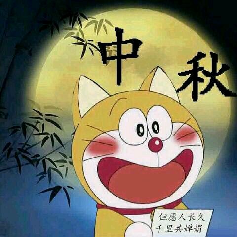 肠胃们收集来的肠胃猫