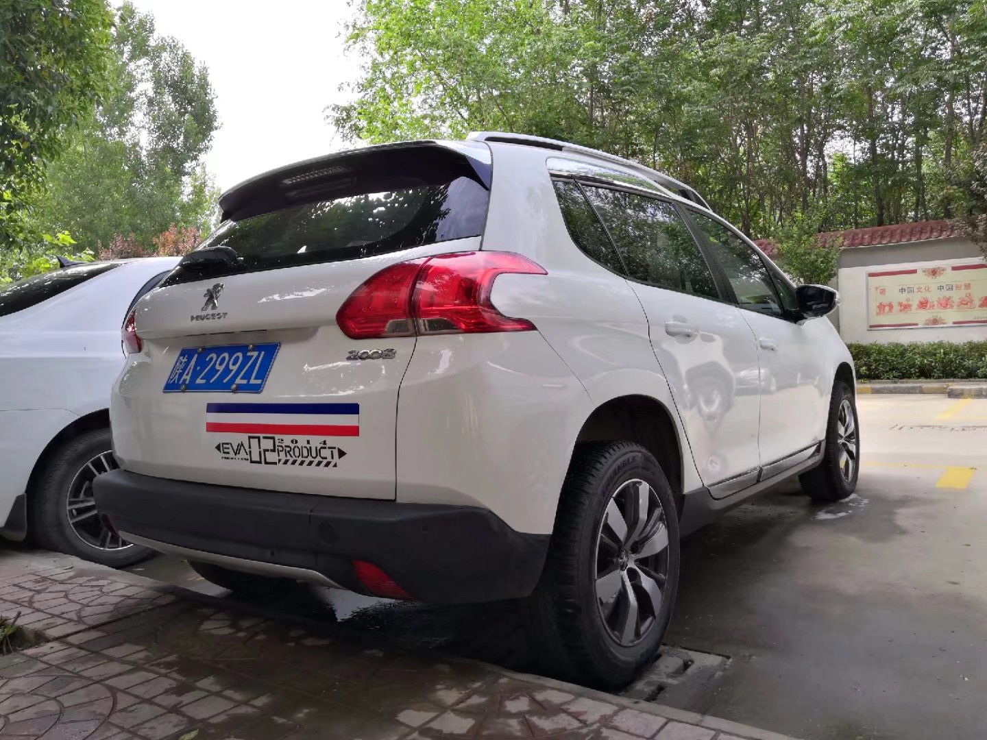 二五仔向您报到