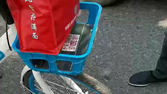 锦衣卫甄子丹国语