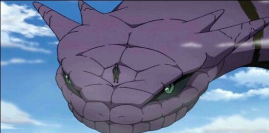 大蛇丸的万蛇,以及纲手的蛞蝓了,三只通灵兽是相互克制的关系,蛇类是