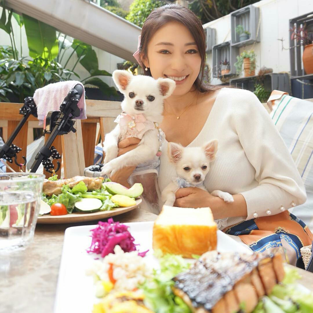 岛国名优小早川怜子