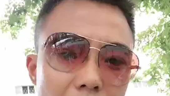 锦衣卫甄子丹国语