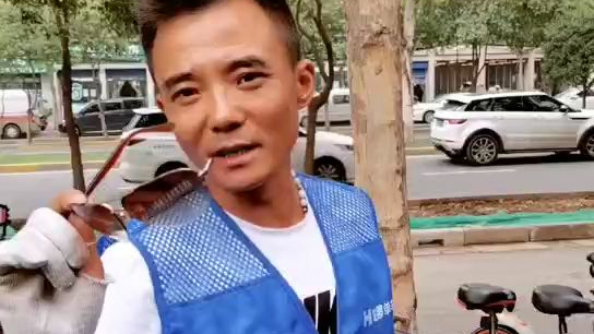 锦衣卫甄子丹国语