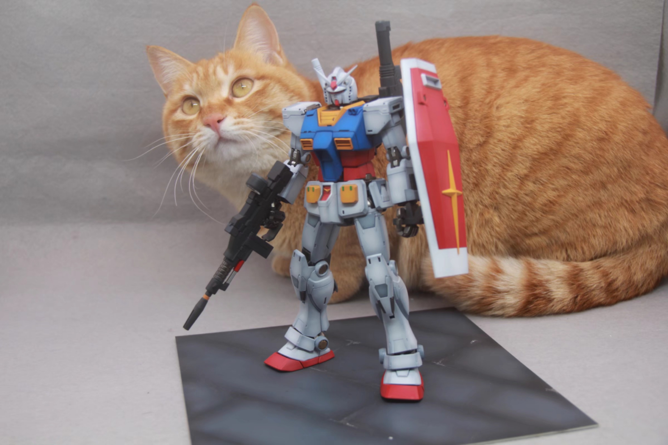 玩模timegto元祖高达