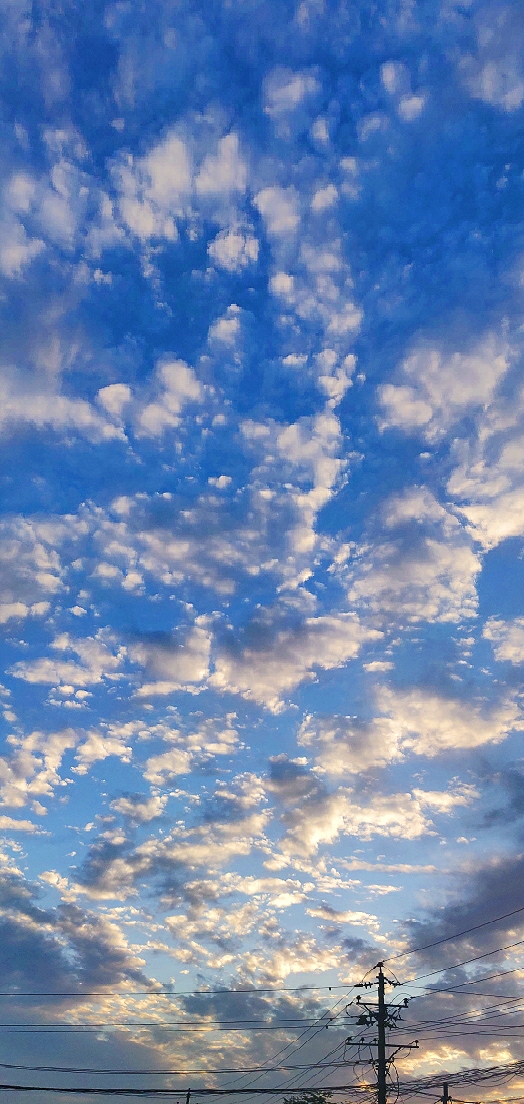 524_1104竖版 竖屏