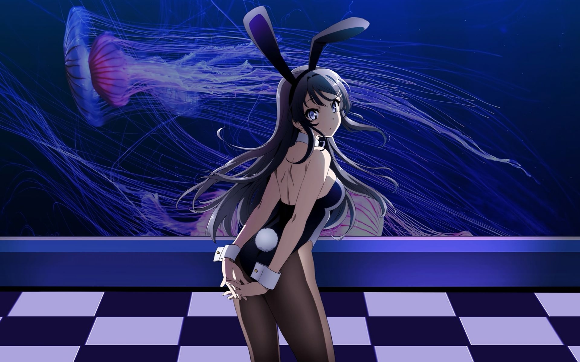 青春猪头少年不会梦到兔女郎学姐学姐来袭你们准备好了吗