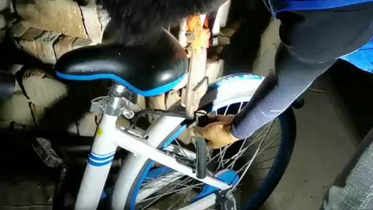 锦衣卫甄子丹国语