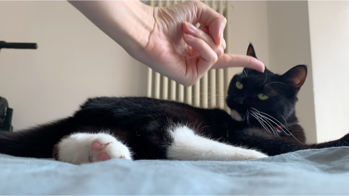 干啥啥不行,挠人第一名