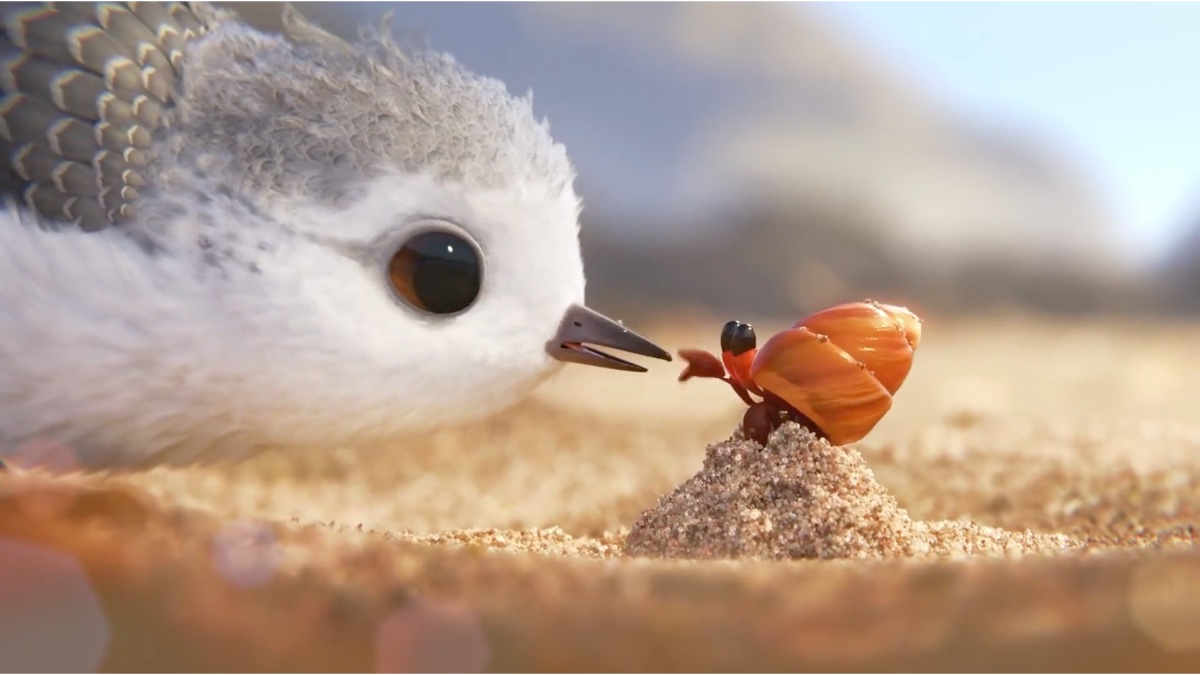 经典治愈系奥斯卡最佳动画短片《鹬》(piper)1080p