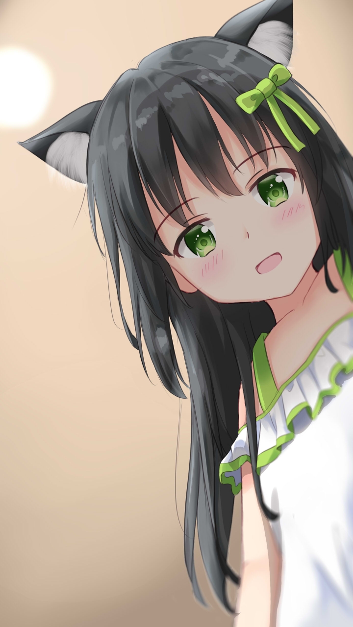 p站猫耳美少女美图搬运分享10