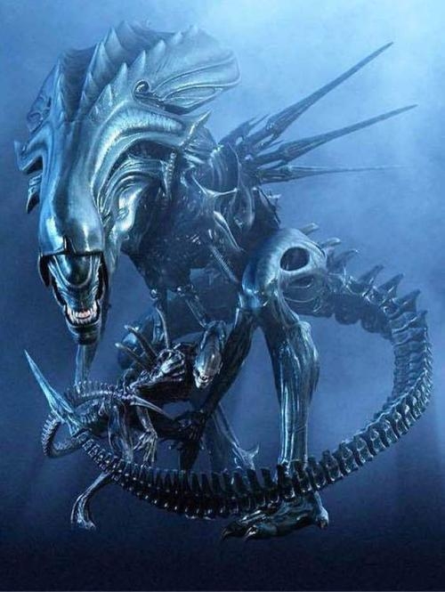妖怪不光地球上有 就连宇宙中也有 平时科幻电影以及游戏中的那些来自宇宙的怪物就属于宇宙的妖怪 妖怪不光地球上有 就连宇宙中也有 平时科幻电影以及游戏中的那些来自宇宙的怪物就属于宇宙的妖怪