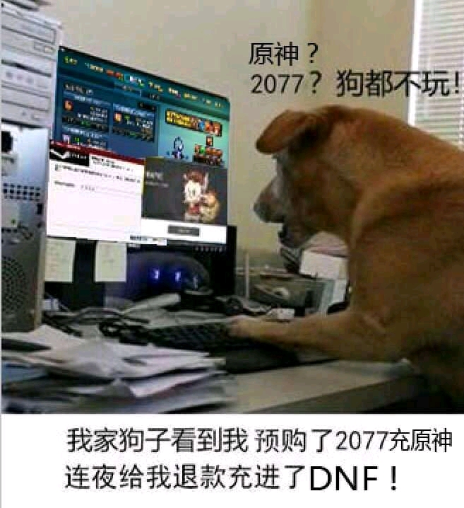 2077狗都不玩图片