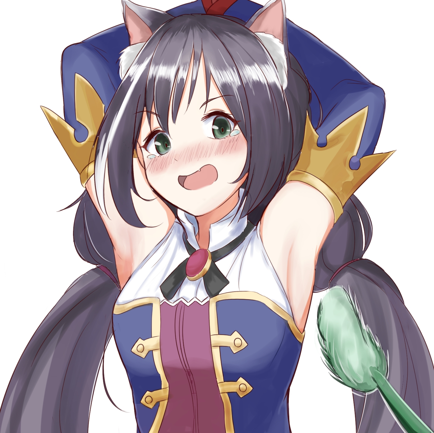 公主连结倒在路边的神秘猫耳魔法师凯露第三弹