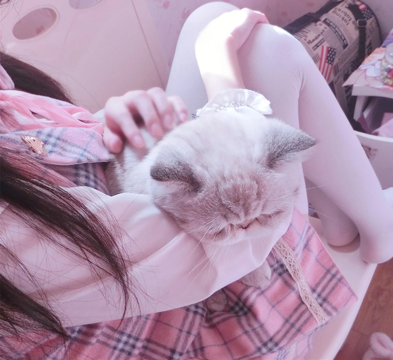 我可爱还是猫可爱