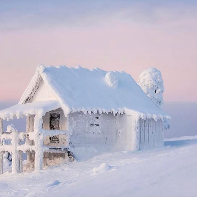 冬天雪景看了有丝丝寒意