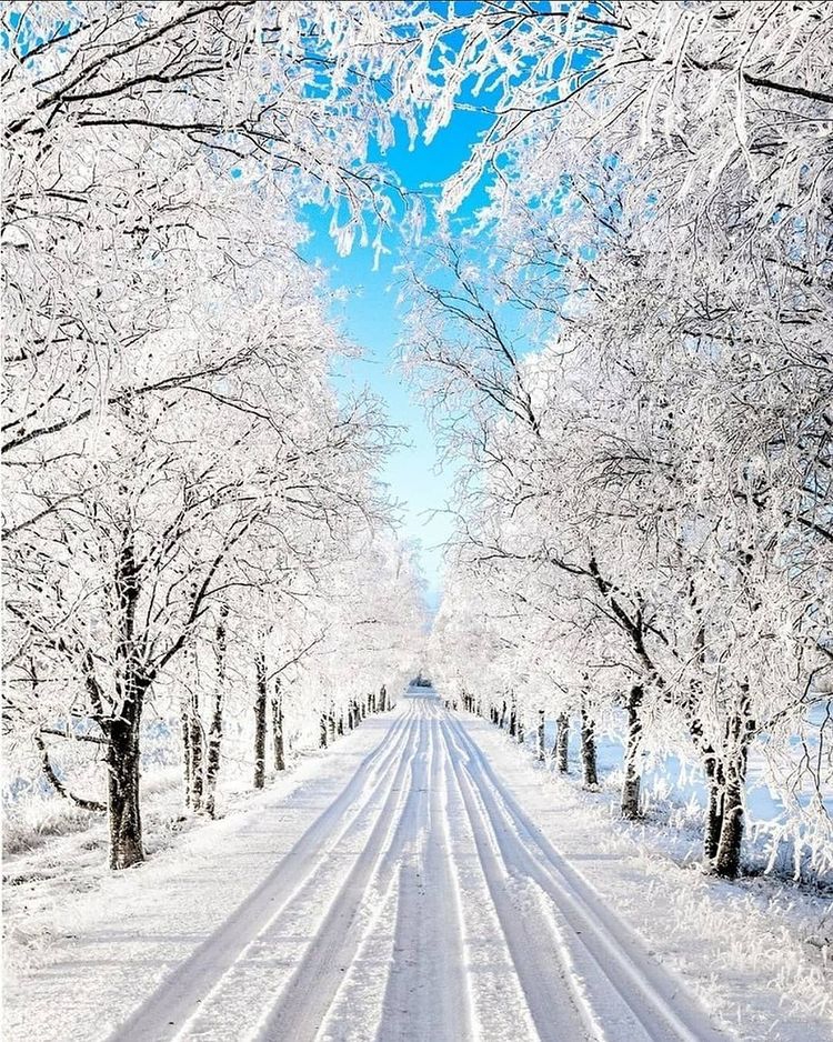 微信背景图冬天雪景图片