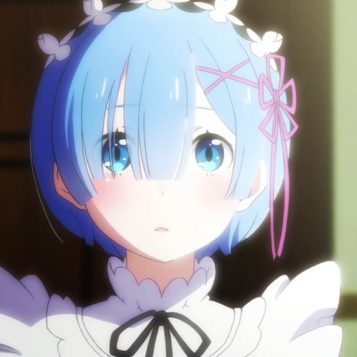 你的蕾姆已到请签收