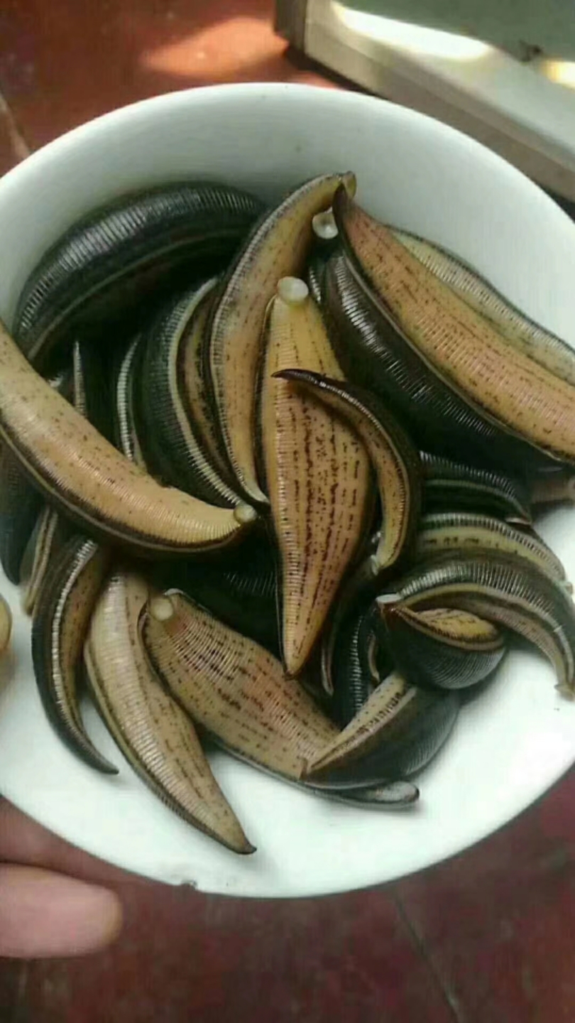 这玩意你们谁吃过呀啥感觉