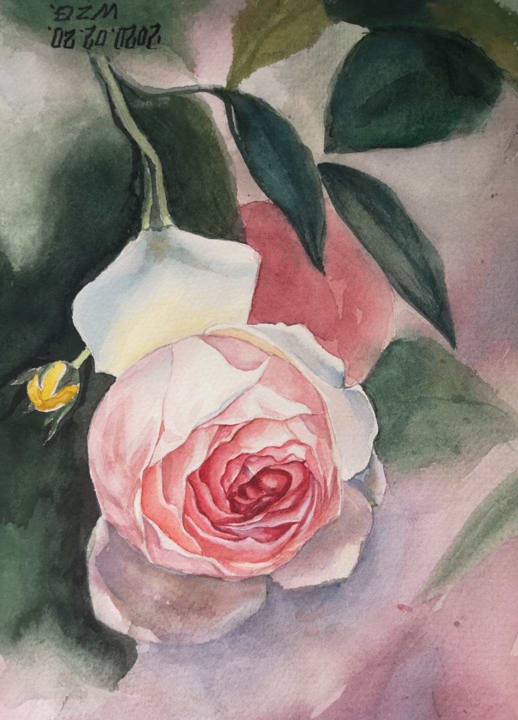 报个水彩练习的作业