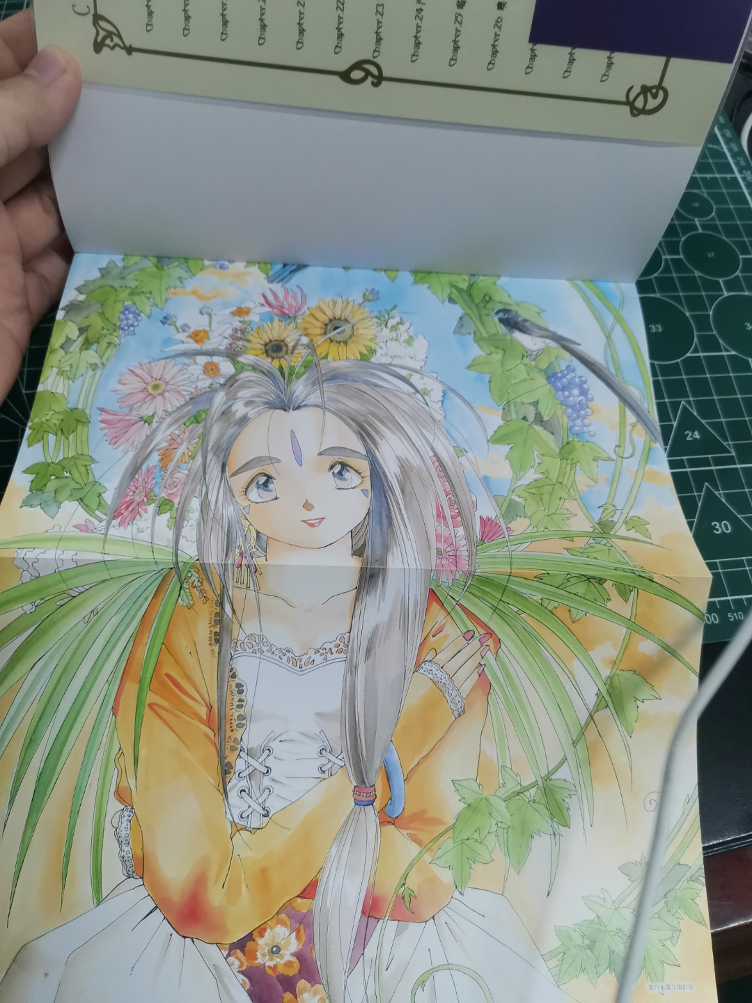 评测简单评测东立幸运女神我的女神完全版爱藏版对比