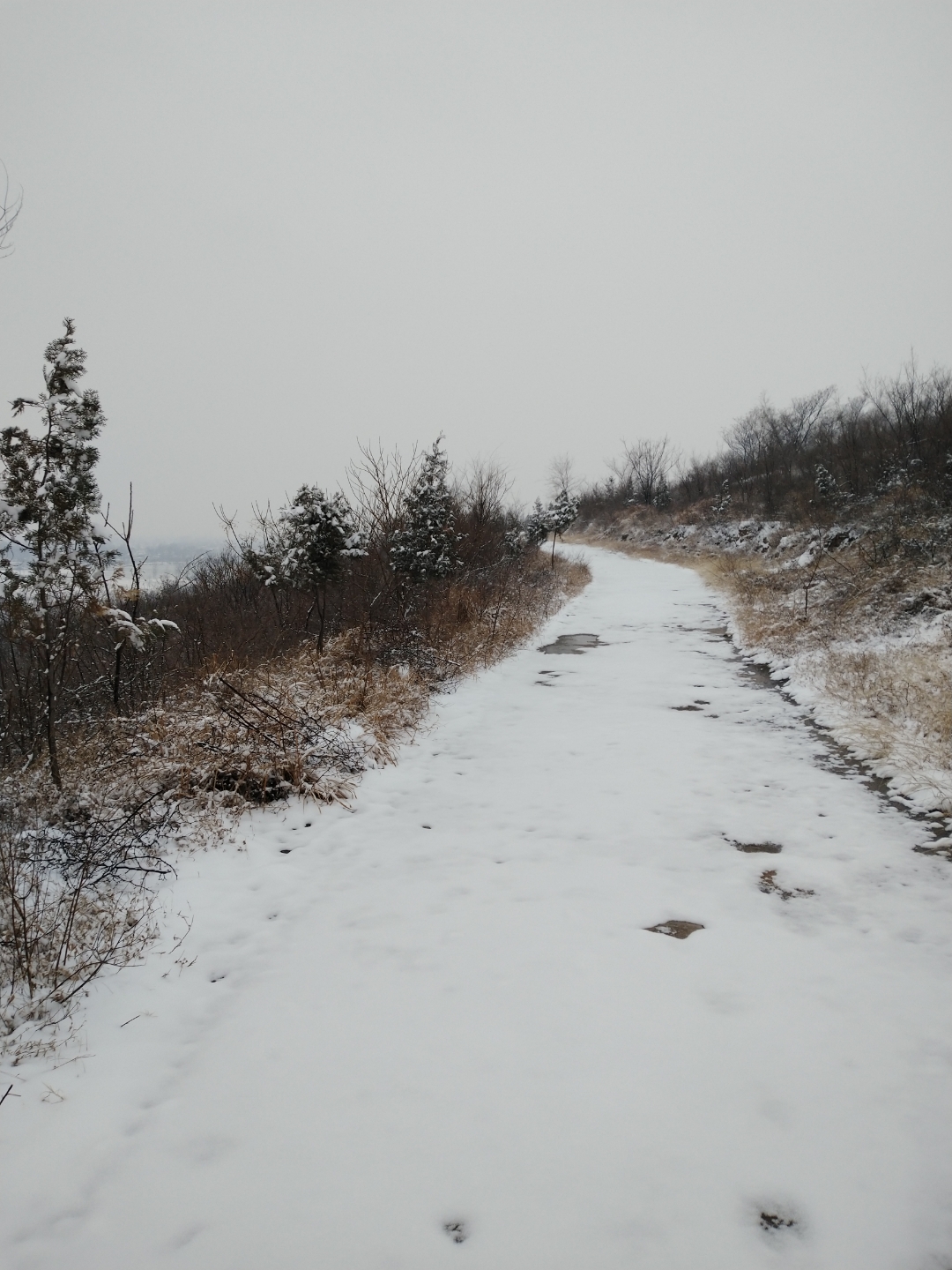 昨晚一场小雪今早此情此景我却是想吟诗一首来来来大家来回忆下关于