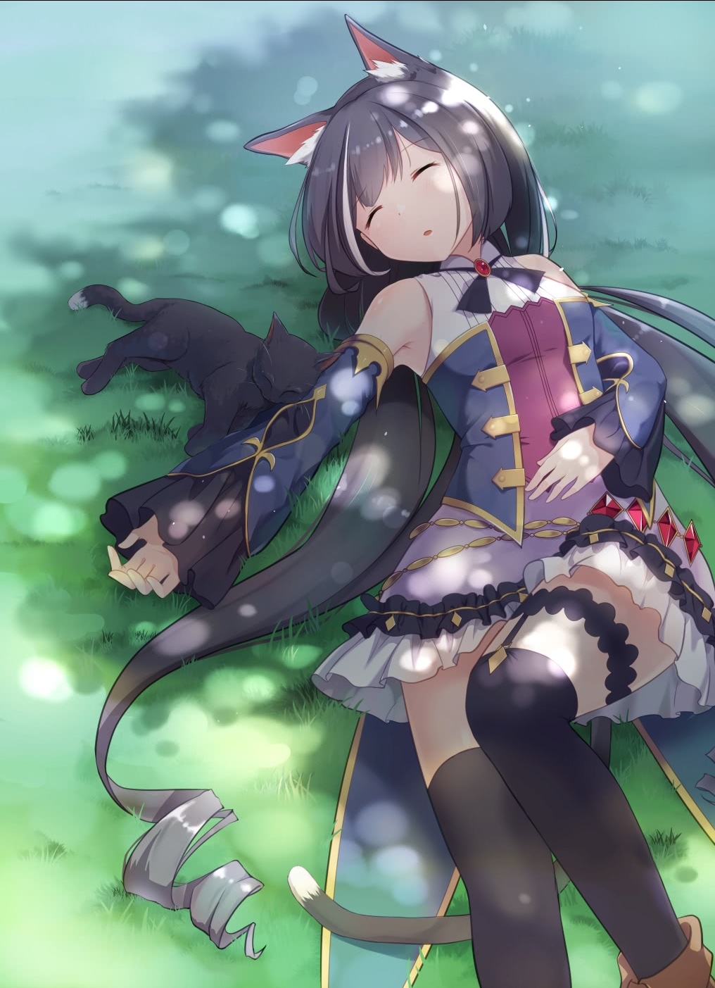 动漫壁纸—黑猫