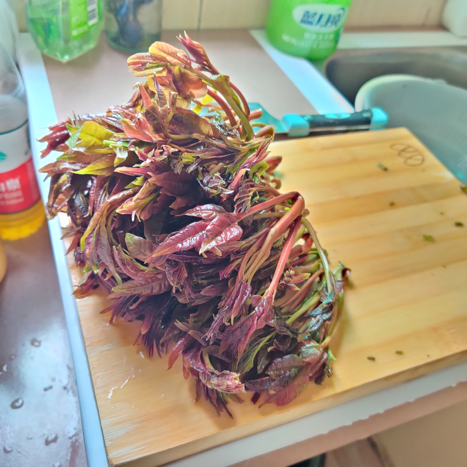 春椿的凉拌做法