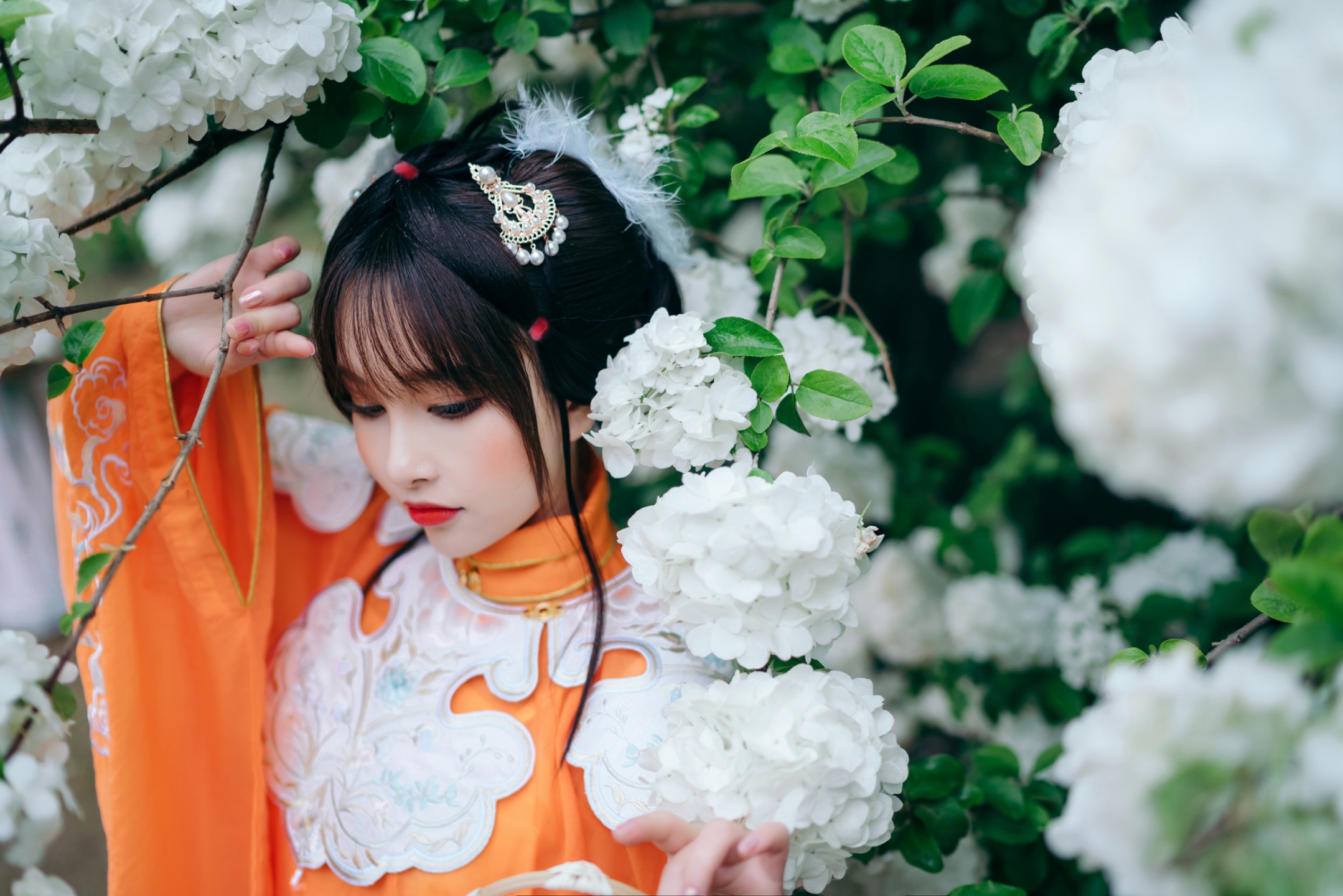 汉服小姐姐今日重逢花树下天涯知有素心人