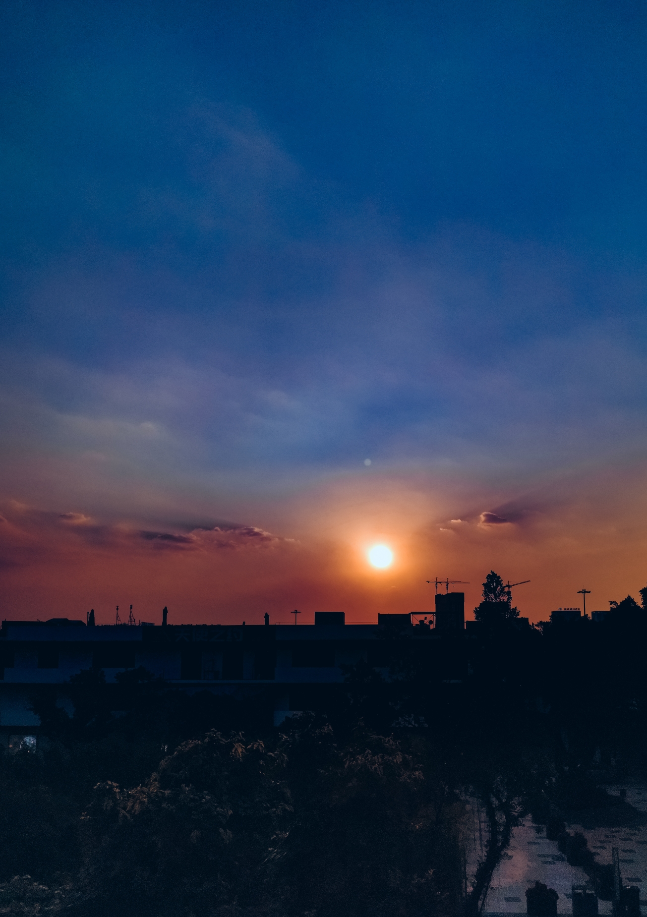 手机摄影入夏荣耀9x拍摄