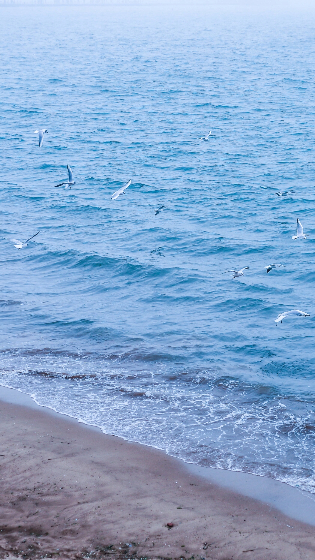 壁纸蓝天白云大海