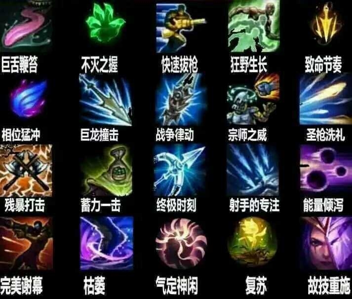 打迷你狗需要用什么