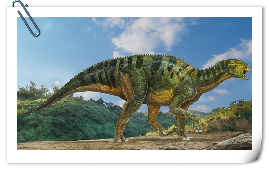 镇馆之宝一巨齿兰州龙世界上最大牙齿的植食性恐龙
