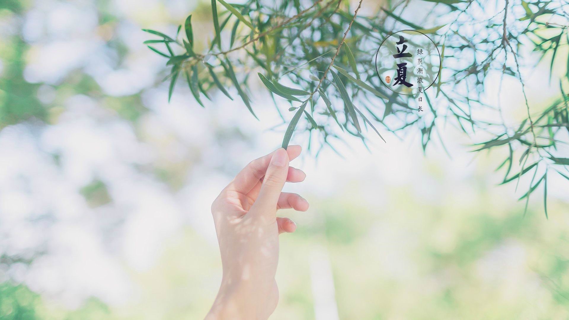 壁纸今日立夏一大波1080p高清横屏清新壁纸