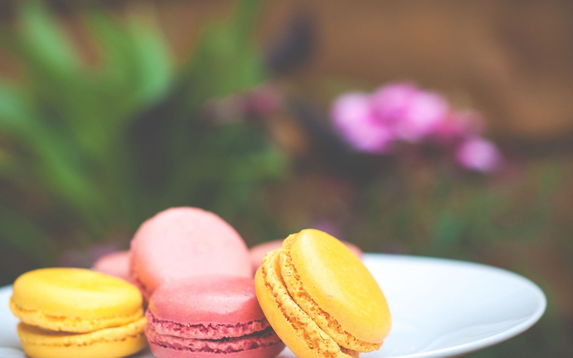 25 - 甜蜜马卡龙桌面壁纸 - acfun弹幕视频网 - 认真你就输啦 (?ω?