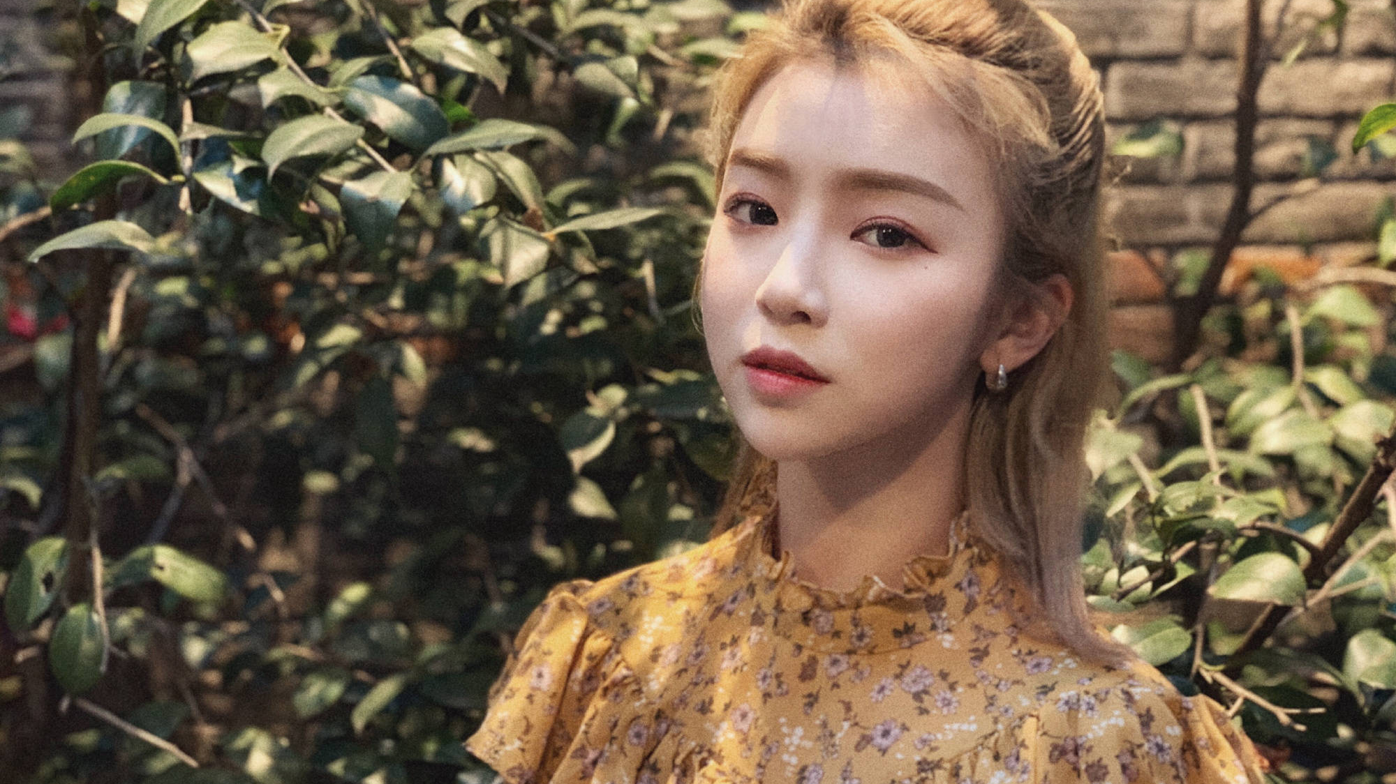 你从林君怡身上看到了谁的影子?