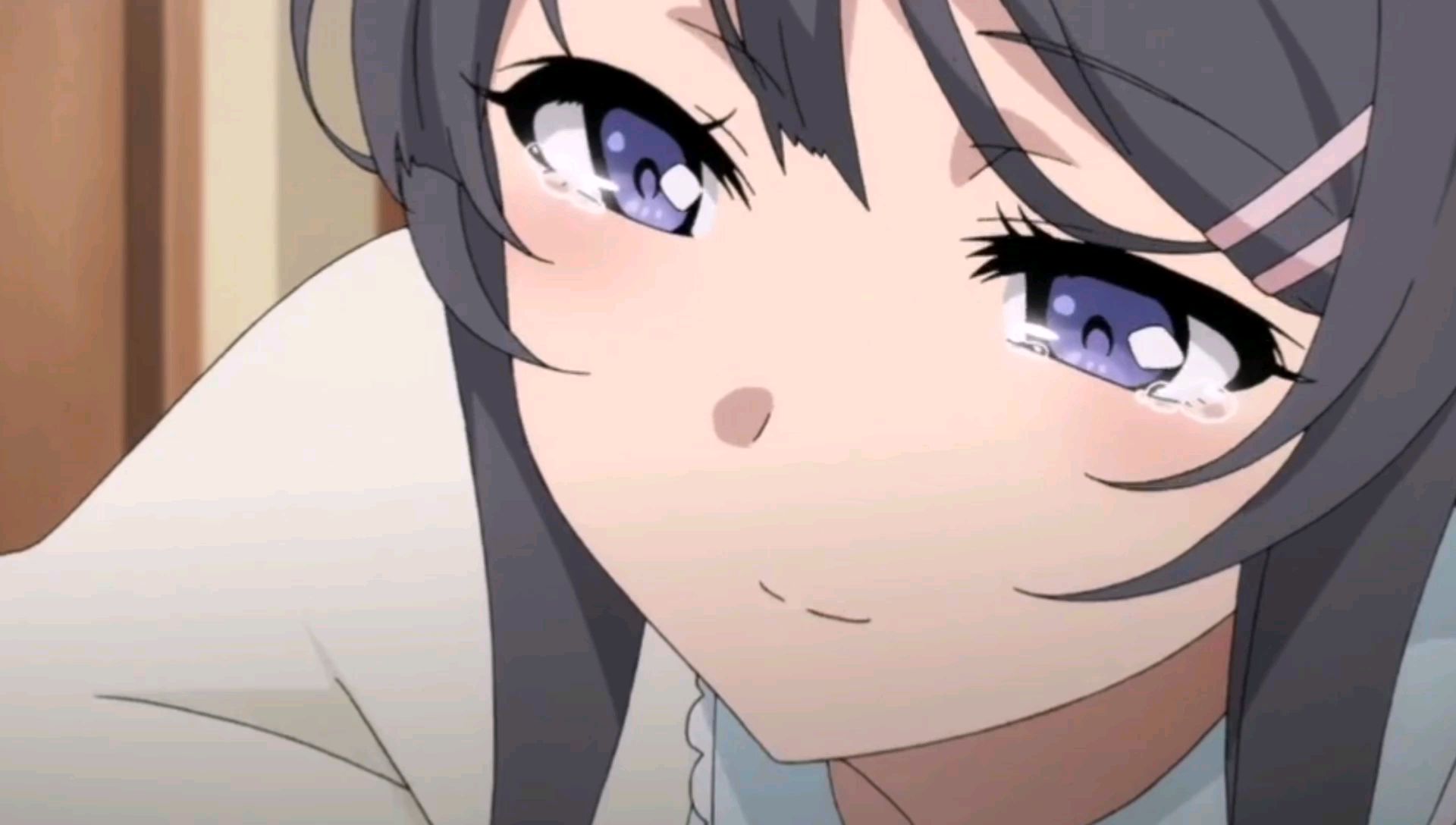 人活着的意义就是为了麻衣学姐!