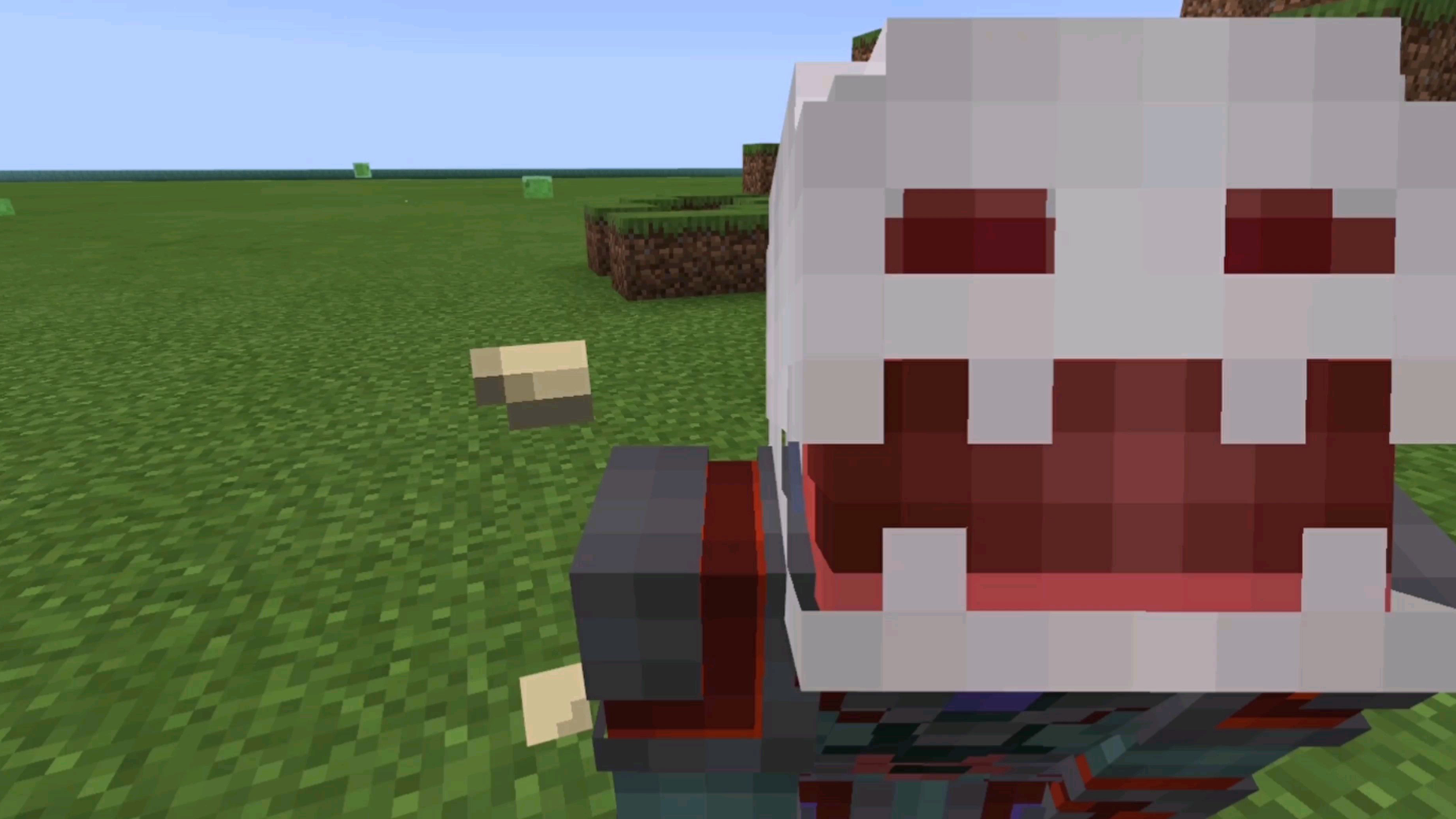 我的世界迷惑行为