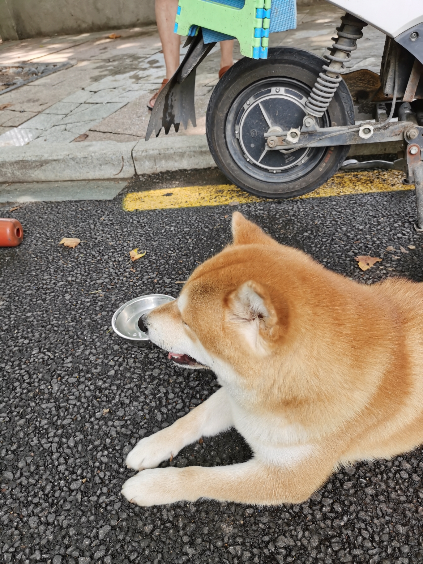 华强北阿柴图片